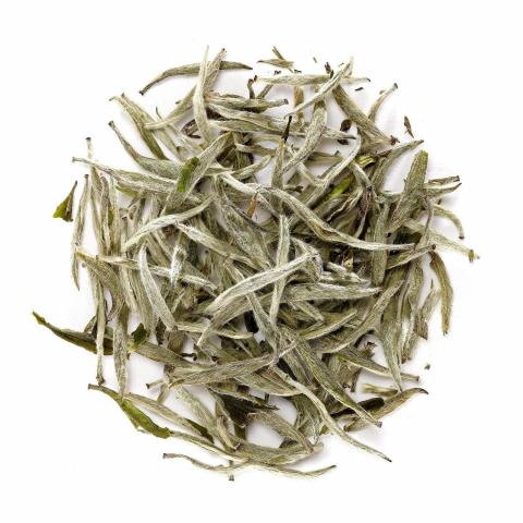 feuilles thé blanc